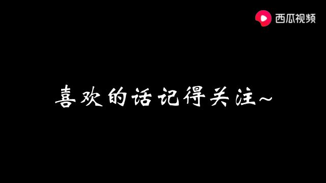 黑虎阿福所有招式